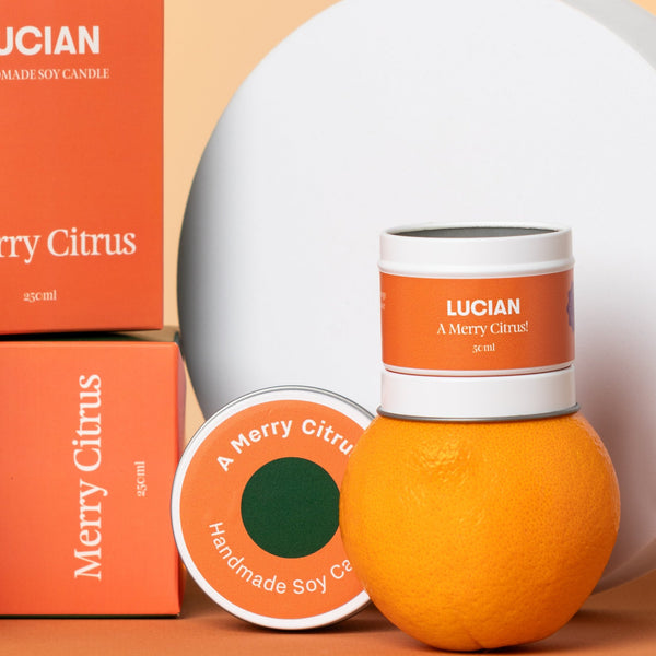 Merry Citrus | Limited Edition Scent!